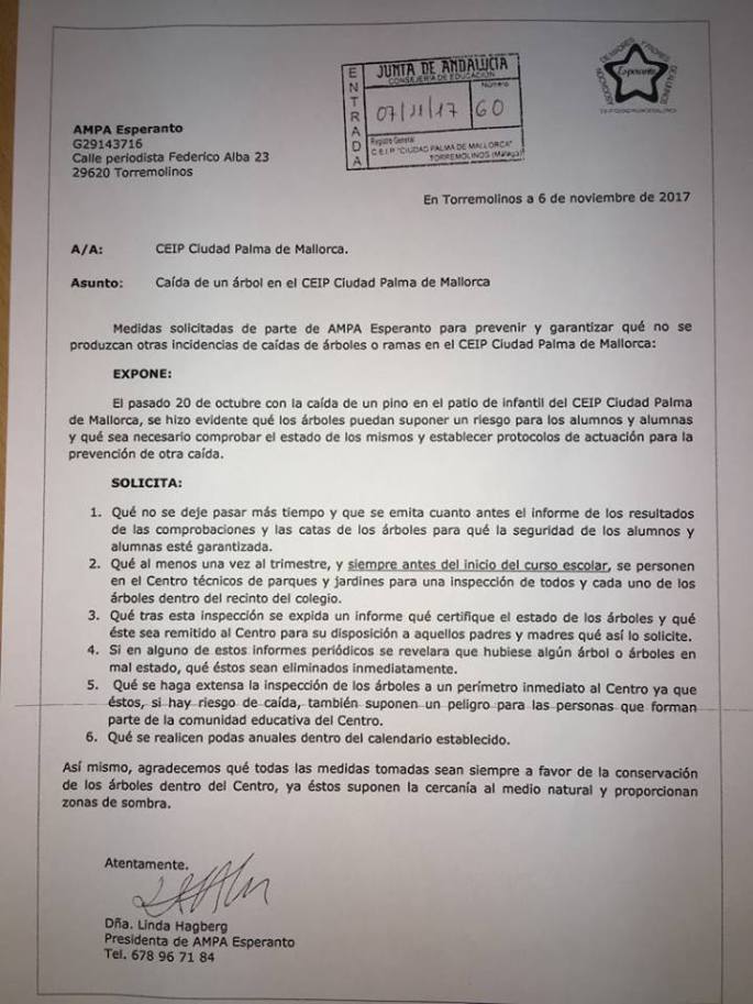 foto medidas pinos 2